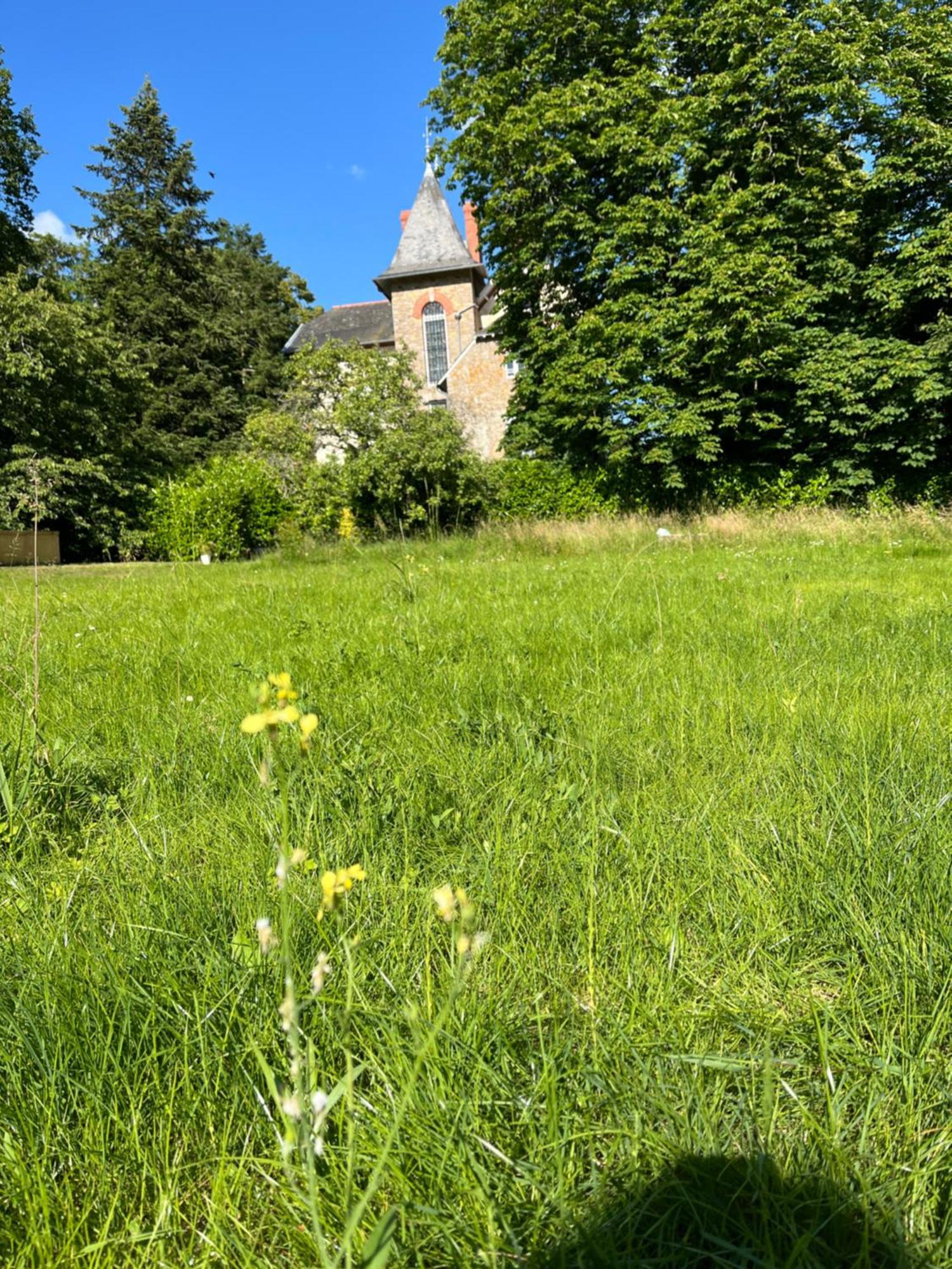 Villa Meguinelle Grand-Fougeray Экстерьер фото